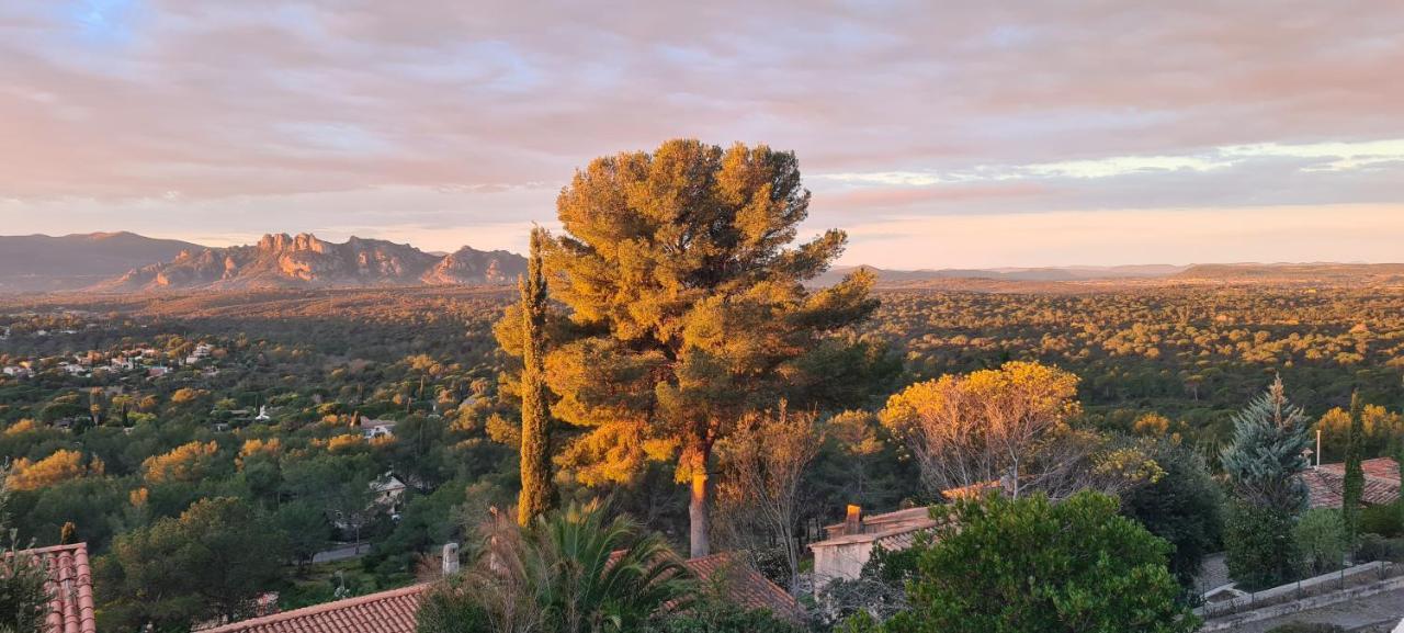 Corniche du Paradis Roquebrune-sur Argens Extérieur photo